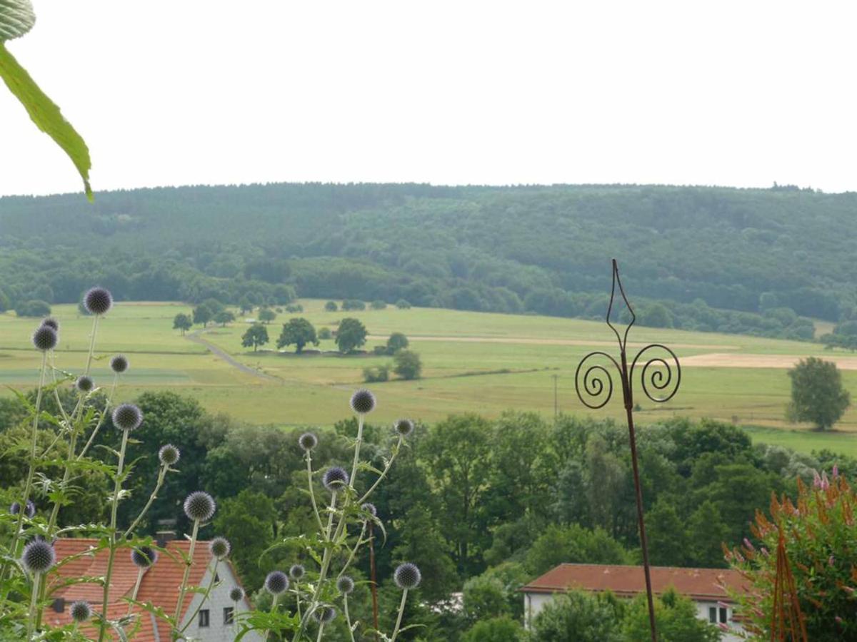 Ferienwohnung Stirnbergblick Ehrenberg  Eksteriør bilde