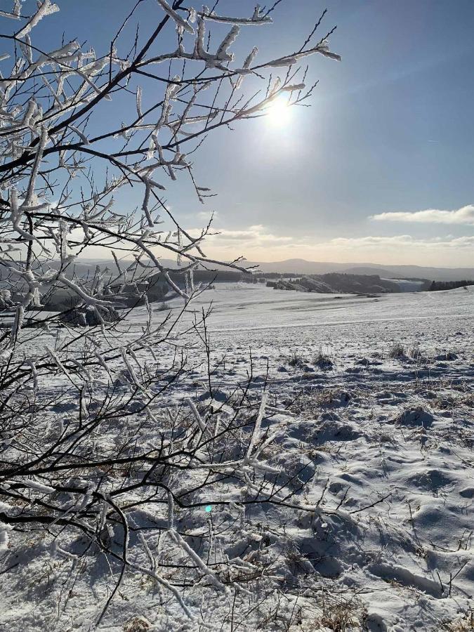 Ferienwohnung Stirnbergblick Ehrenberg  Eksteriør bilde