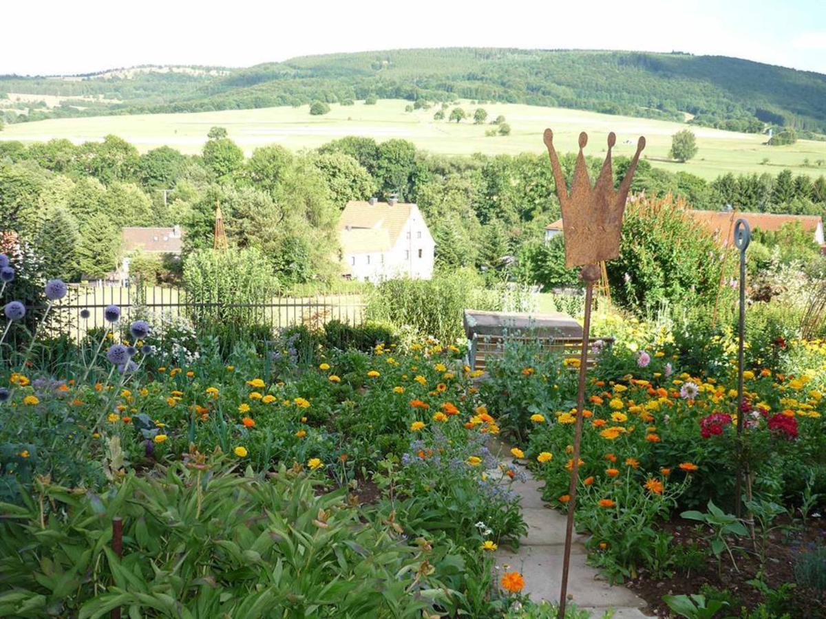 Ferienwohnung Stirnbergblick Ehrenberg  Eksteriør bilde